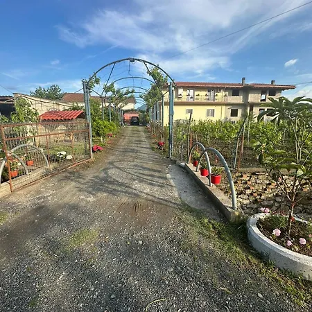 Marku - Mrizi I Zanave 3* Fishte